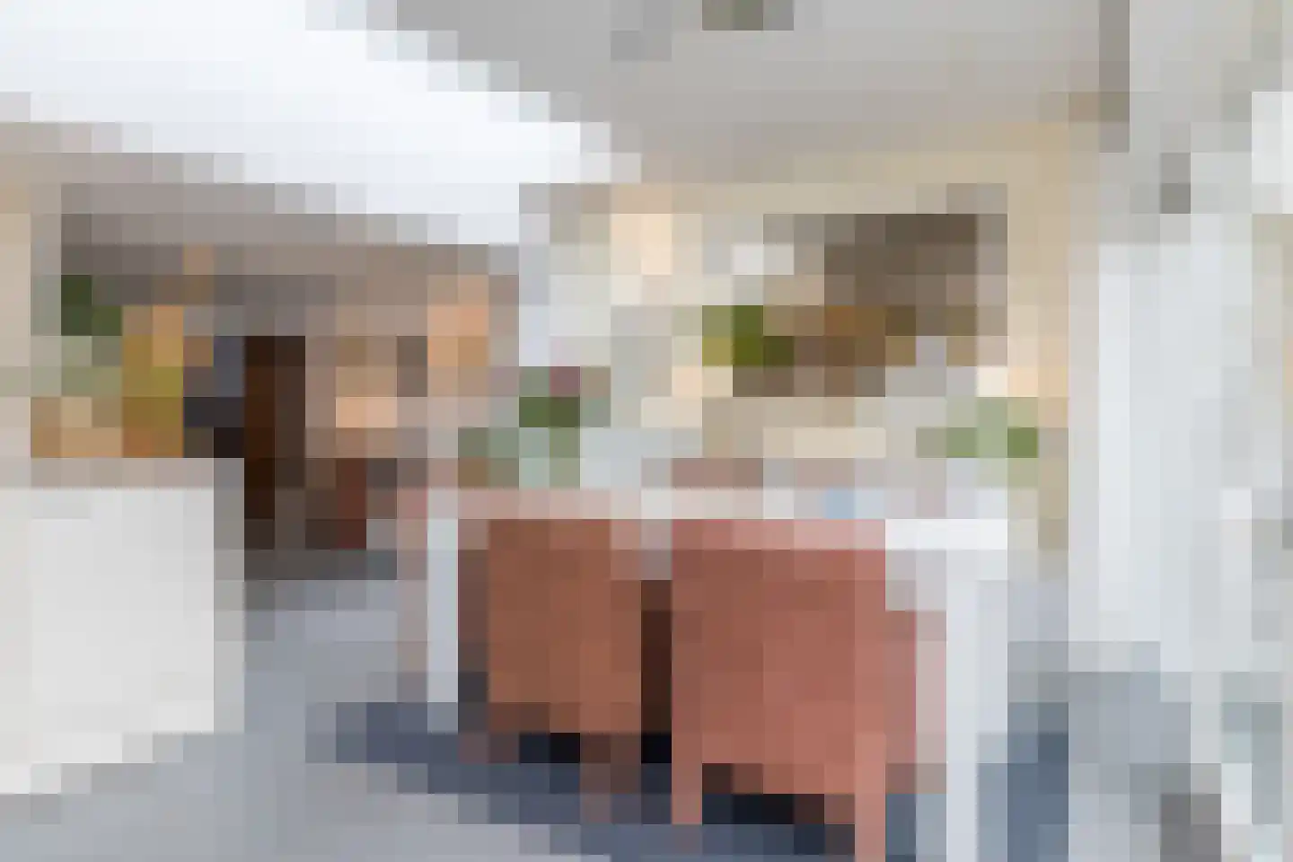 De Leu 12 Oirsbeek thumbnail 13