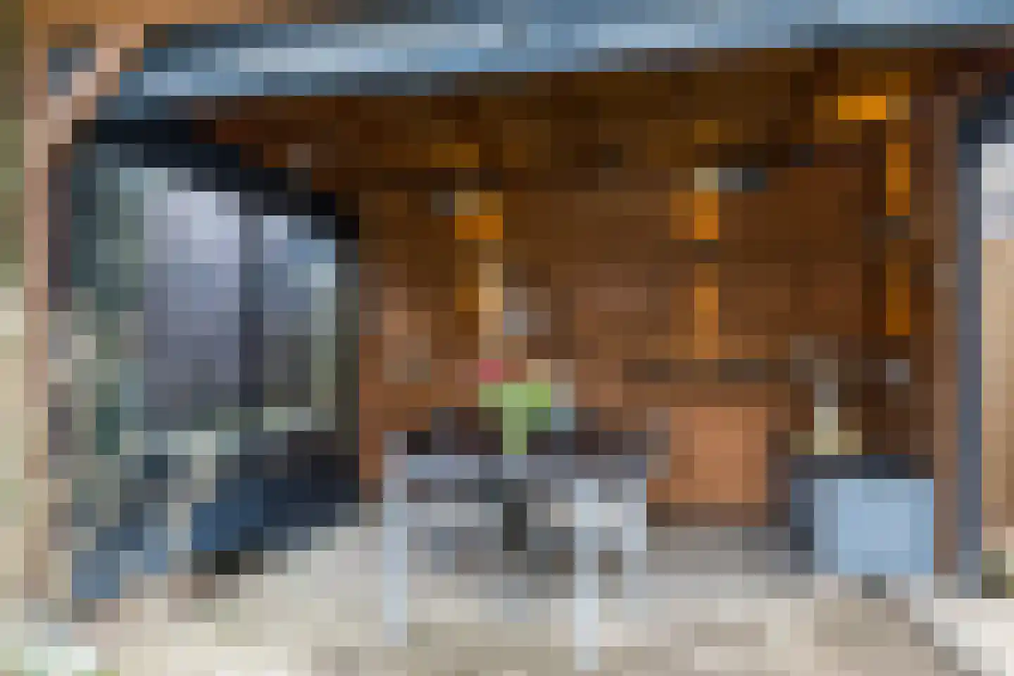 De Leu 12 Oirsbeek thumbnail 40
