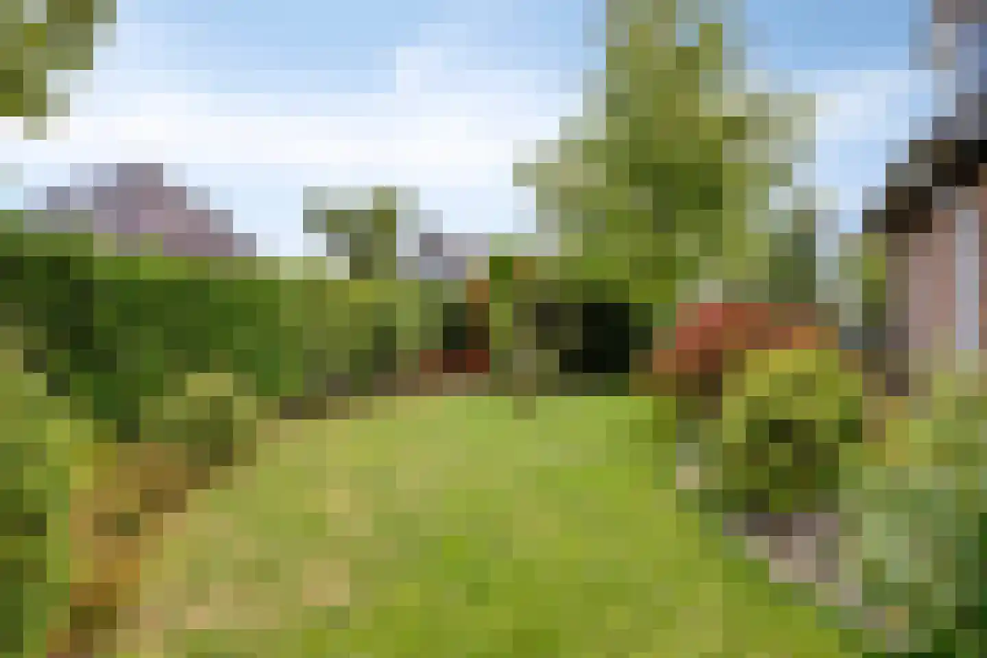 De Leucker 22 Swalmen thumbnail 38