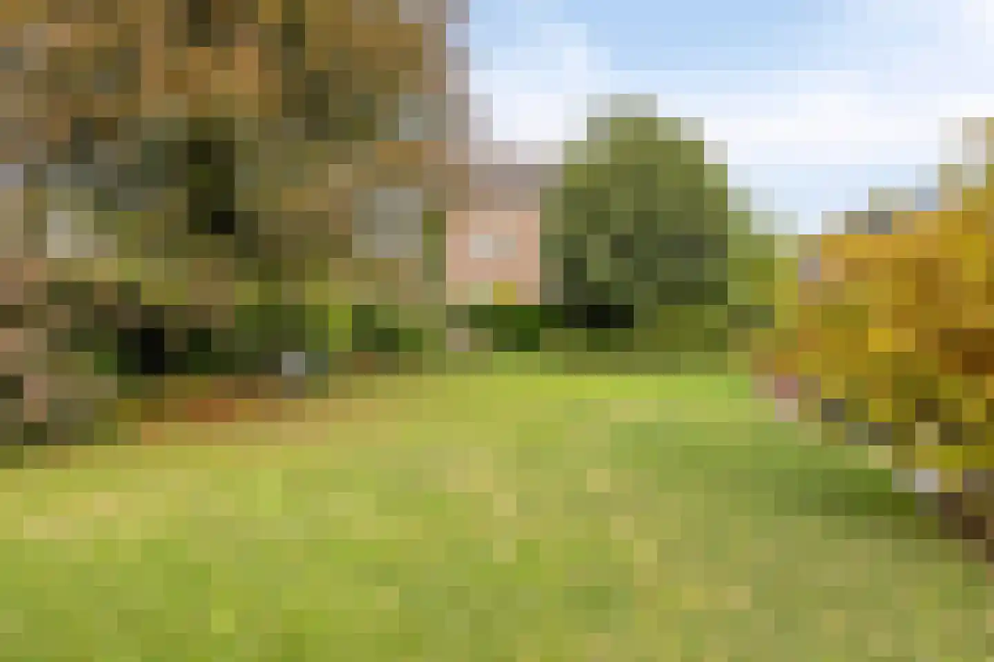 De Leucker 22 Swalmen thumbnail 41