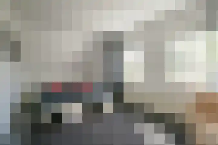 De Leucker 9 Swalmen thumbnail 17