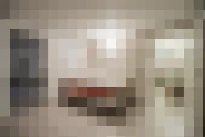 De Leucker 9 Swalmen thumbnail 27