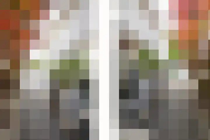 De Leucker 9 Swalmen thumbnail 32