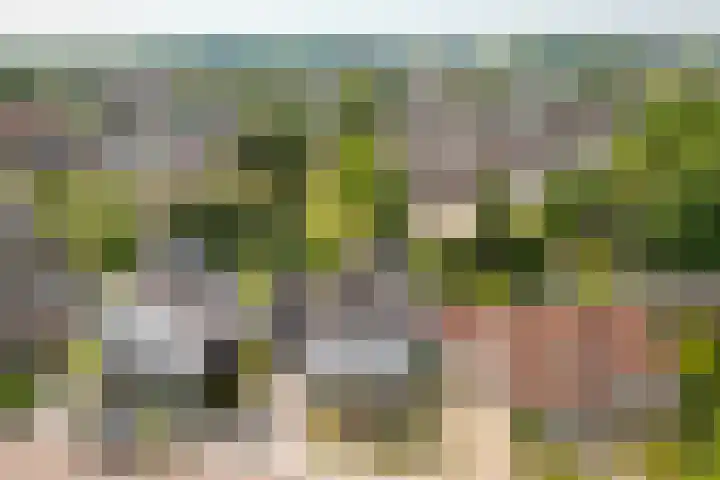 De Leucker 9 Swalmen thumbnail 35