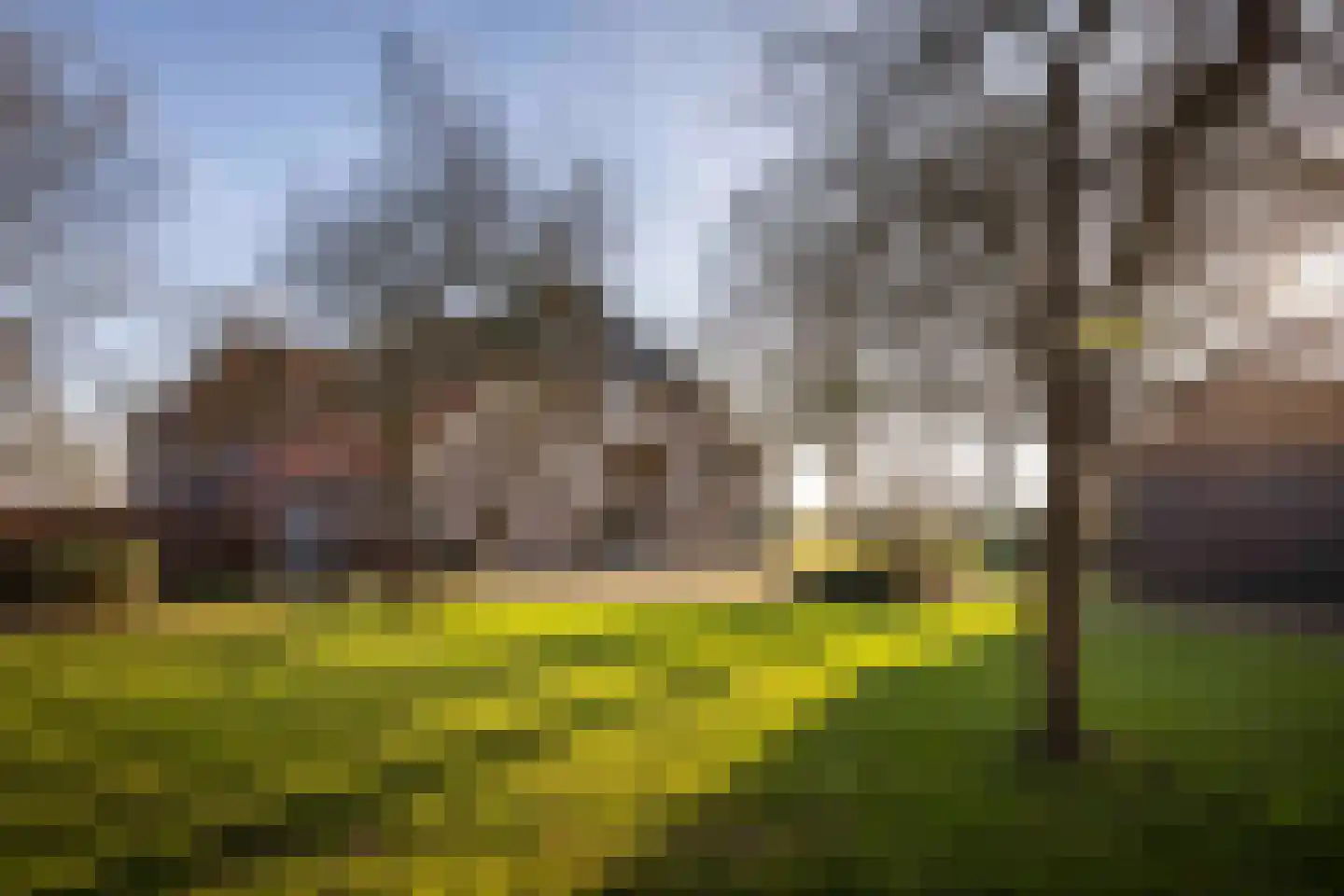 de Leuke 6 in Vorden