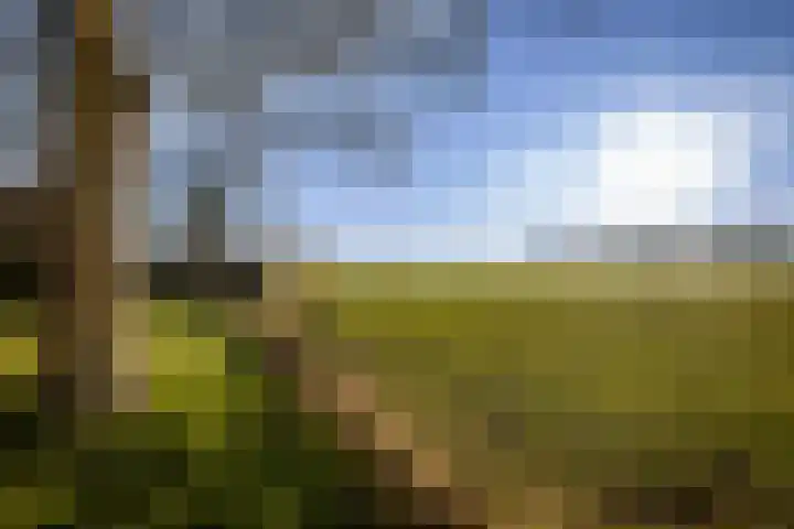 de Leuke 6 Vorden thumbnail 11
