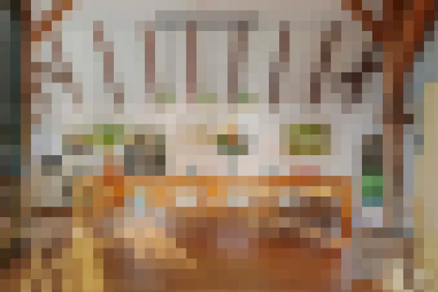 de Leuke 6 Vorden thumbnail 12