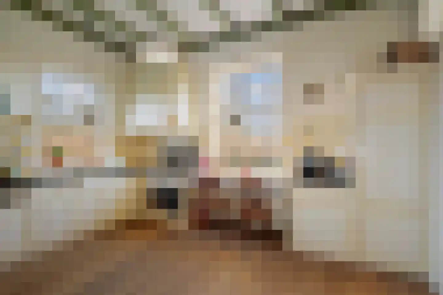 de Leuke 6 Vorden thumbnail 14