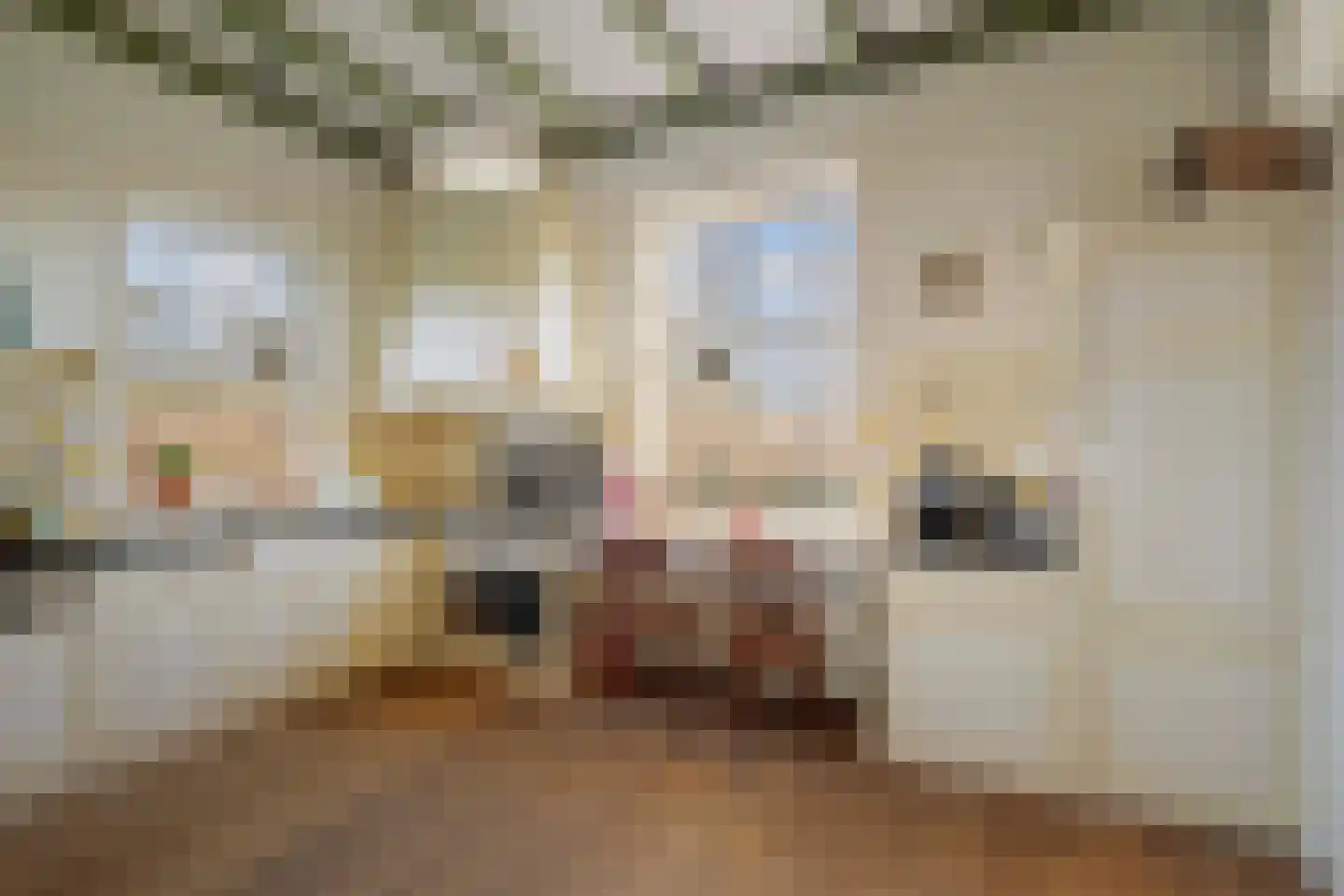 de Leuke 6 Vorden thumbnail 19