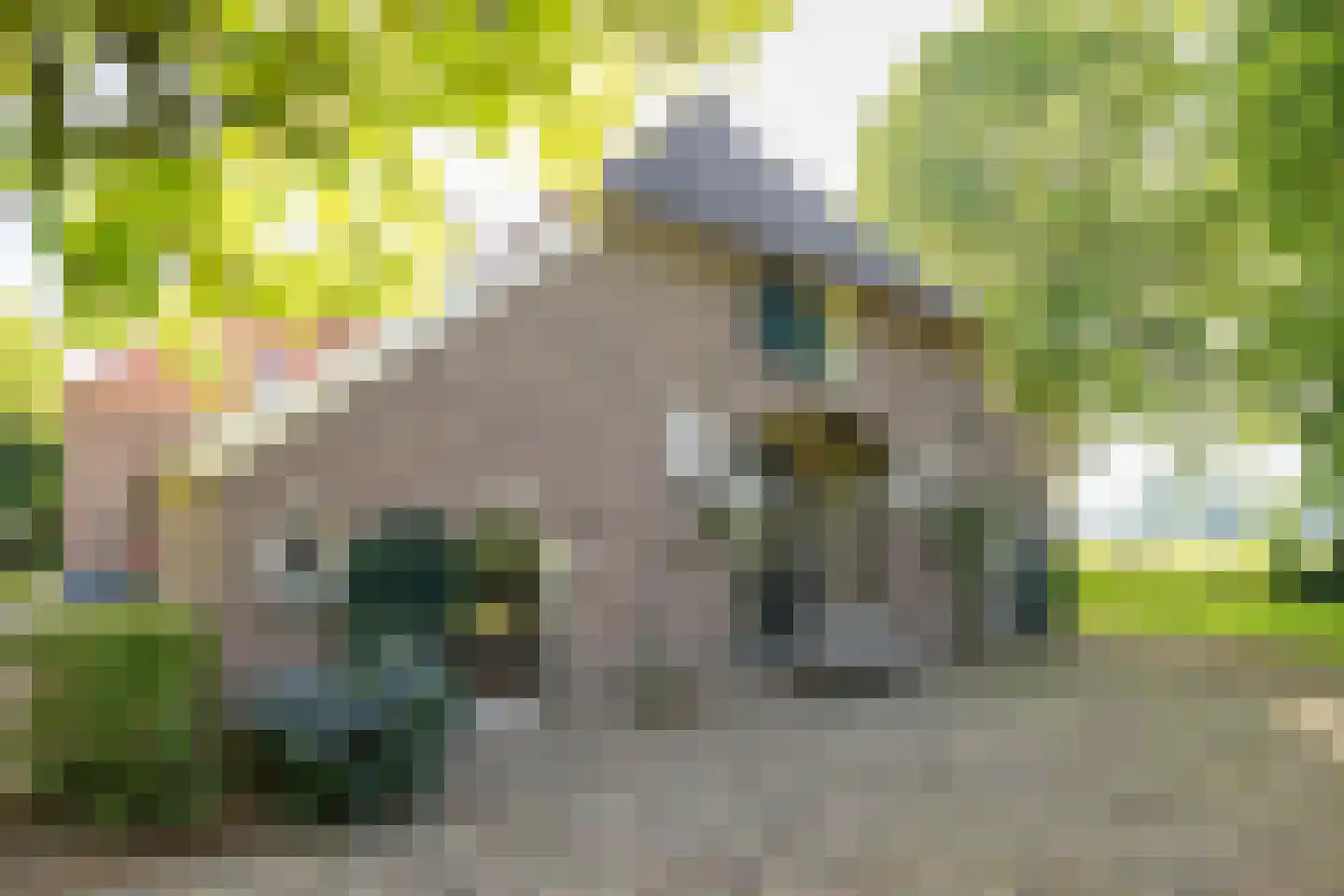 de Leuke 6 Vorden foto 2