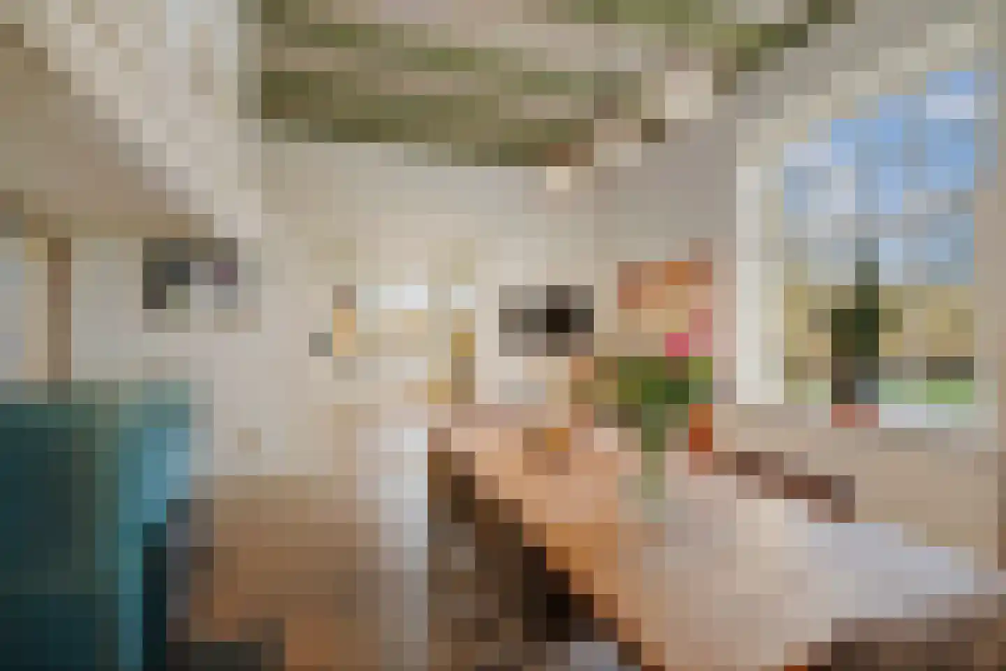 de Leuke 6 Vorden thumbnail 23