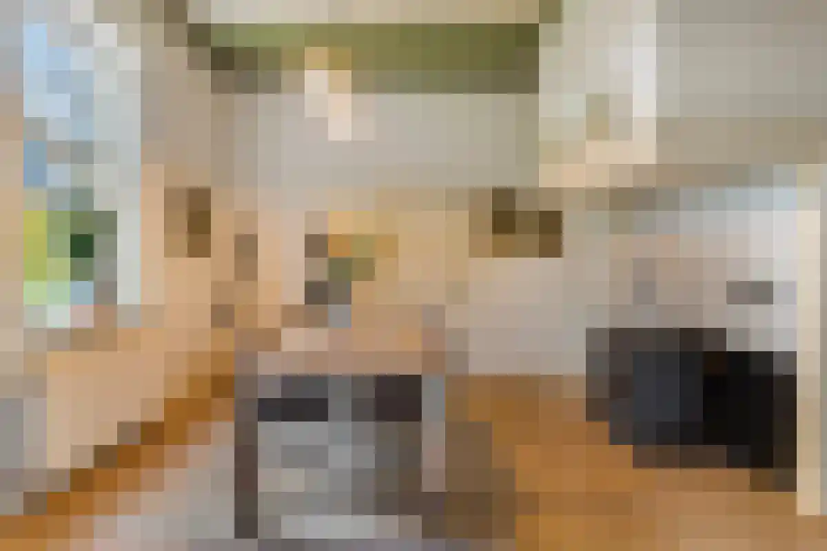 de Leuke 6 Vorden thumbnail 24