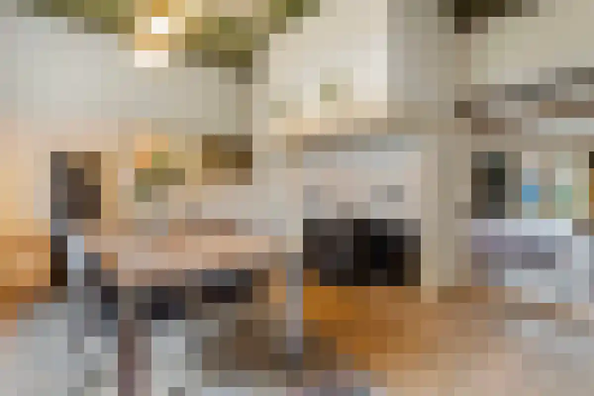 de Leuke 6 Vorden thumbnail 25