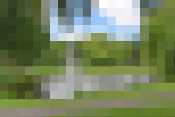 de Leuke 6 Vorden thumbnail 28