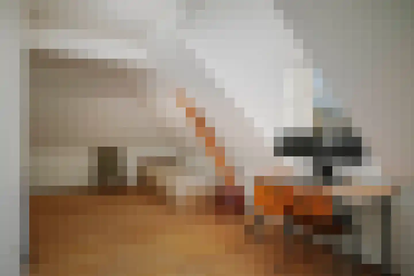 de Leuke 6 Vorden thumbnail 34