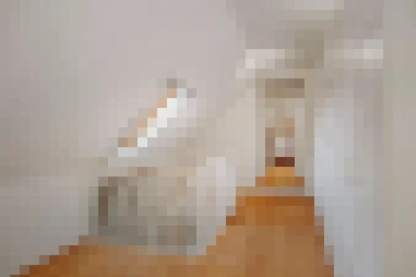 de Leuke 6 Vorden thumbnail 40