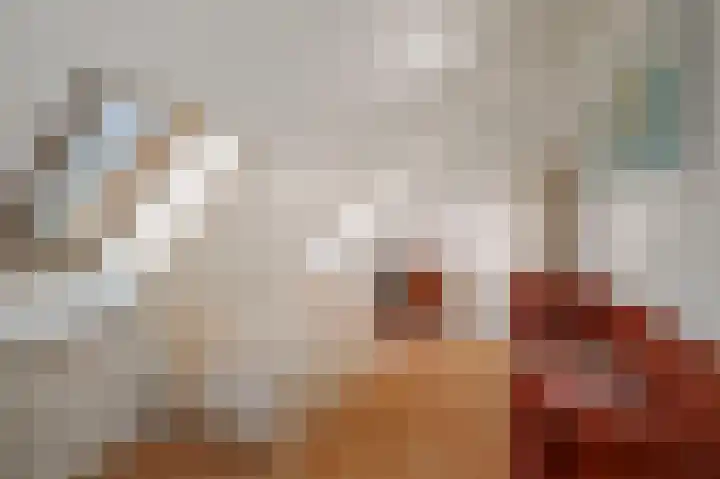 de Leuke 6 Vorden thumbnail 40