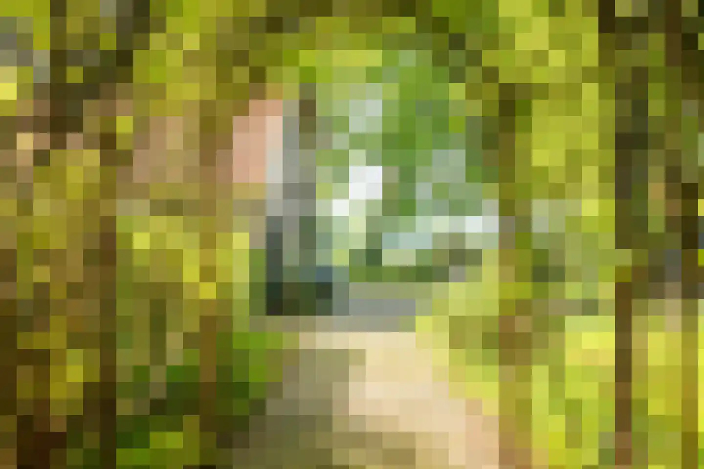 de Leuke 6 Vorden thumbnail 44