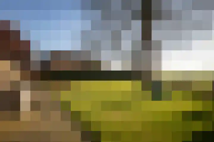 de Leuke 6 Vorden thumbnail 46