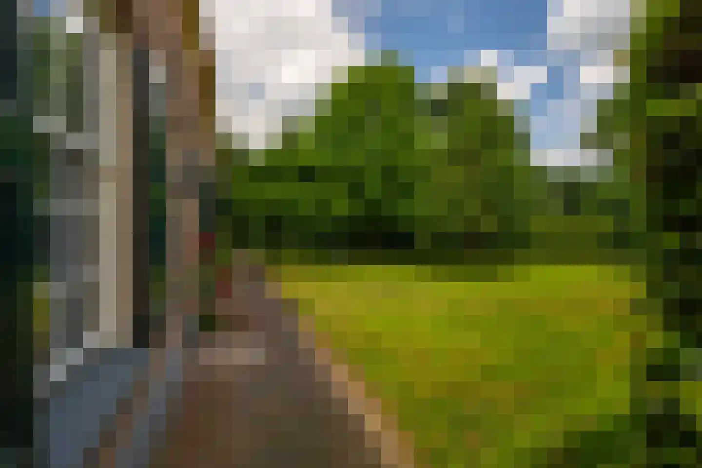 de Leuke 6 Vorden thumbnail 46