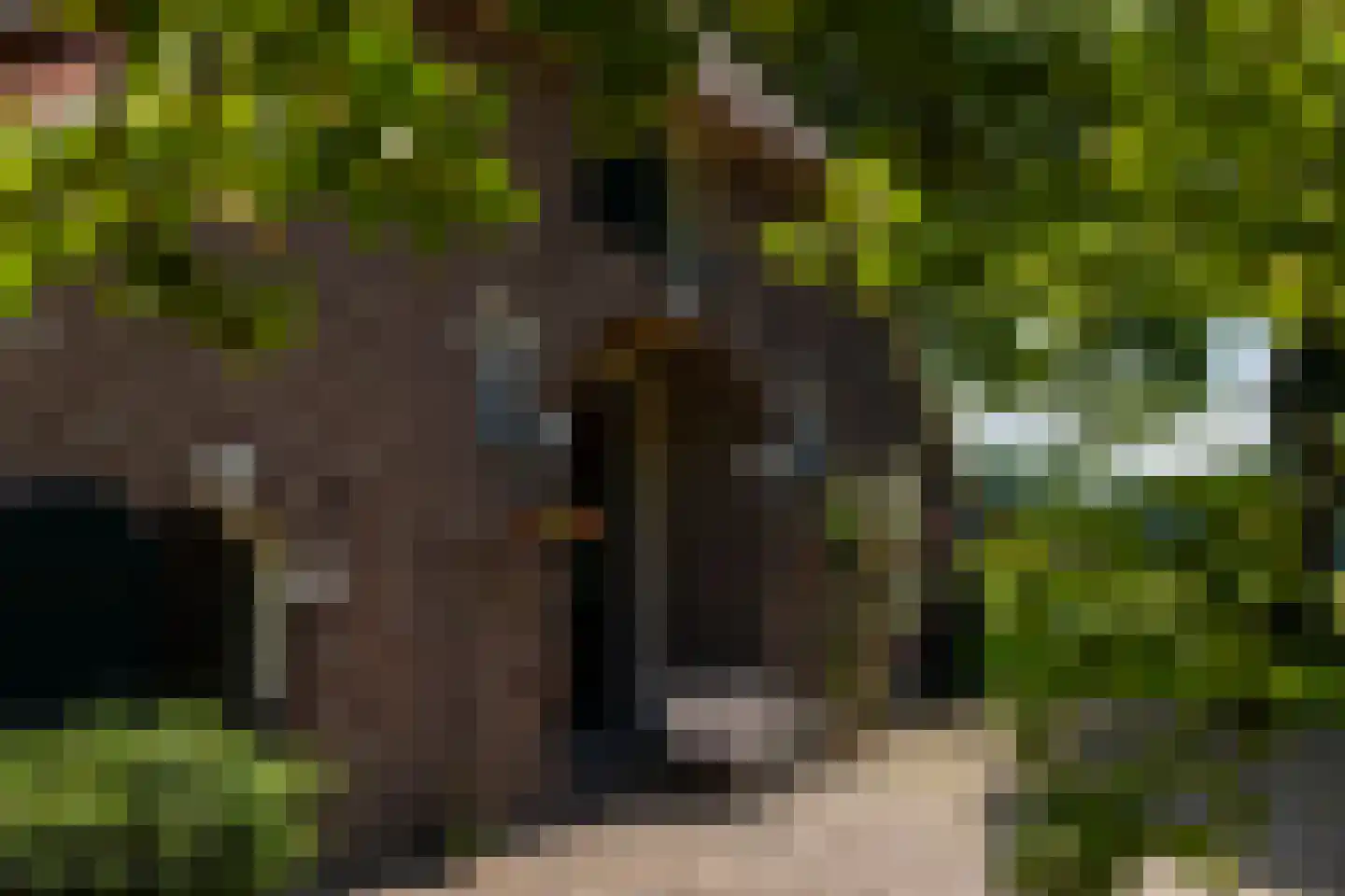 de Leuke 6 Vorden thumbnail 47