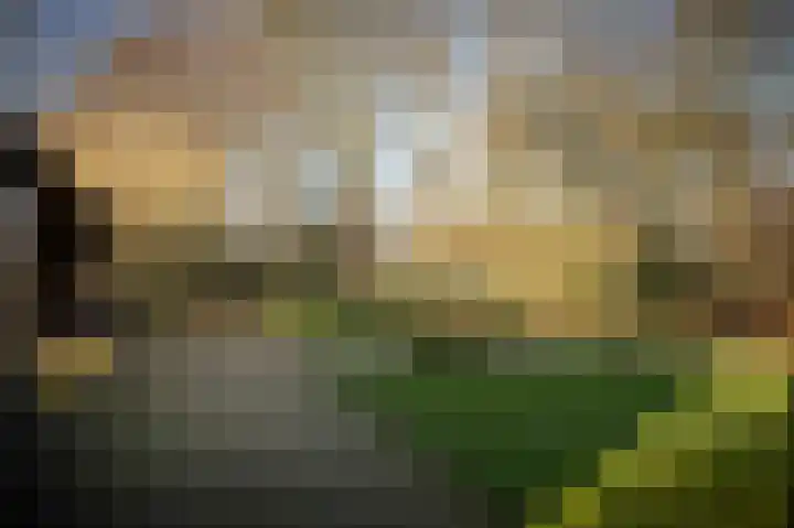 de Leuke 6 Vorden thumbnail 47