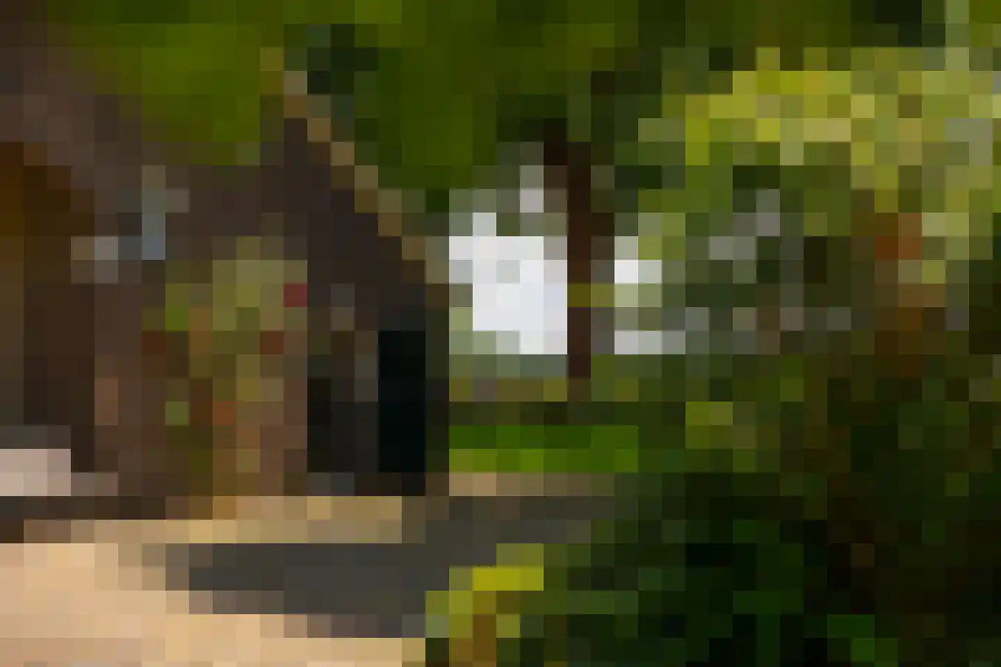 de Leuke 6 Vorden thumbnail 48