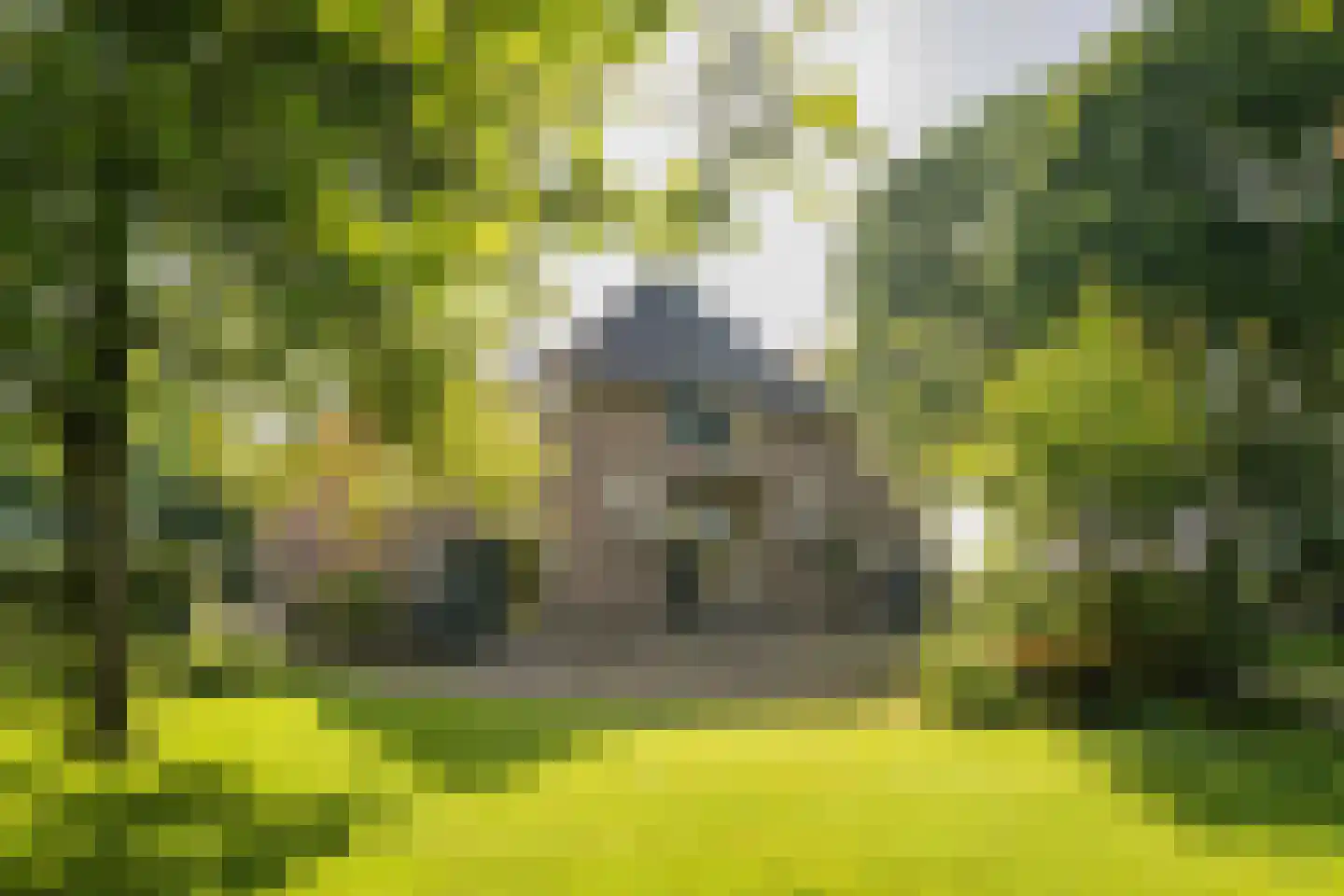 de Leuke 6 Vorden thumbnail 5