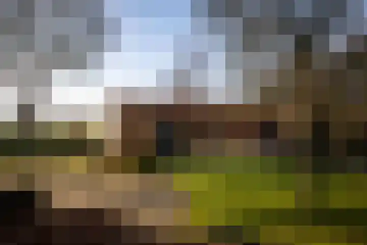 de Leuke 6 Vorden thumbnail 50