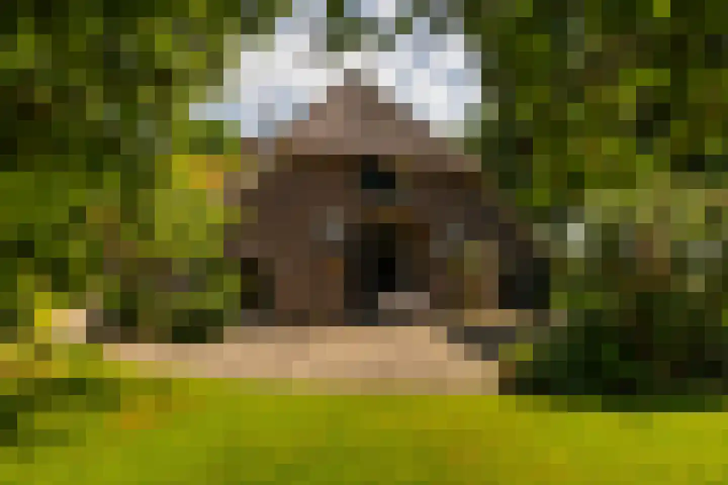 de Leuke 6 Vorden thumbnail 50