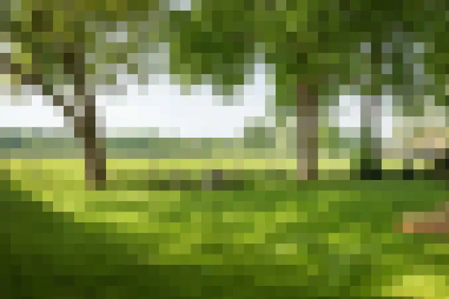 de Leuke 6 Vorden thumbnail 50