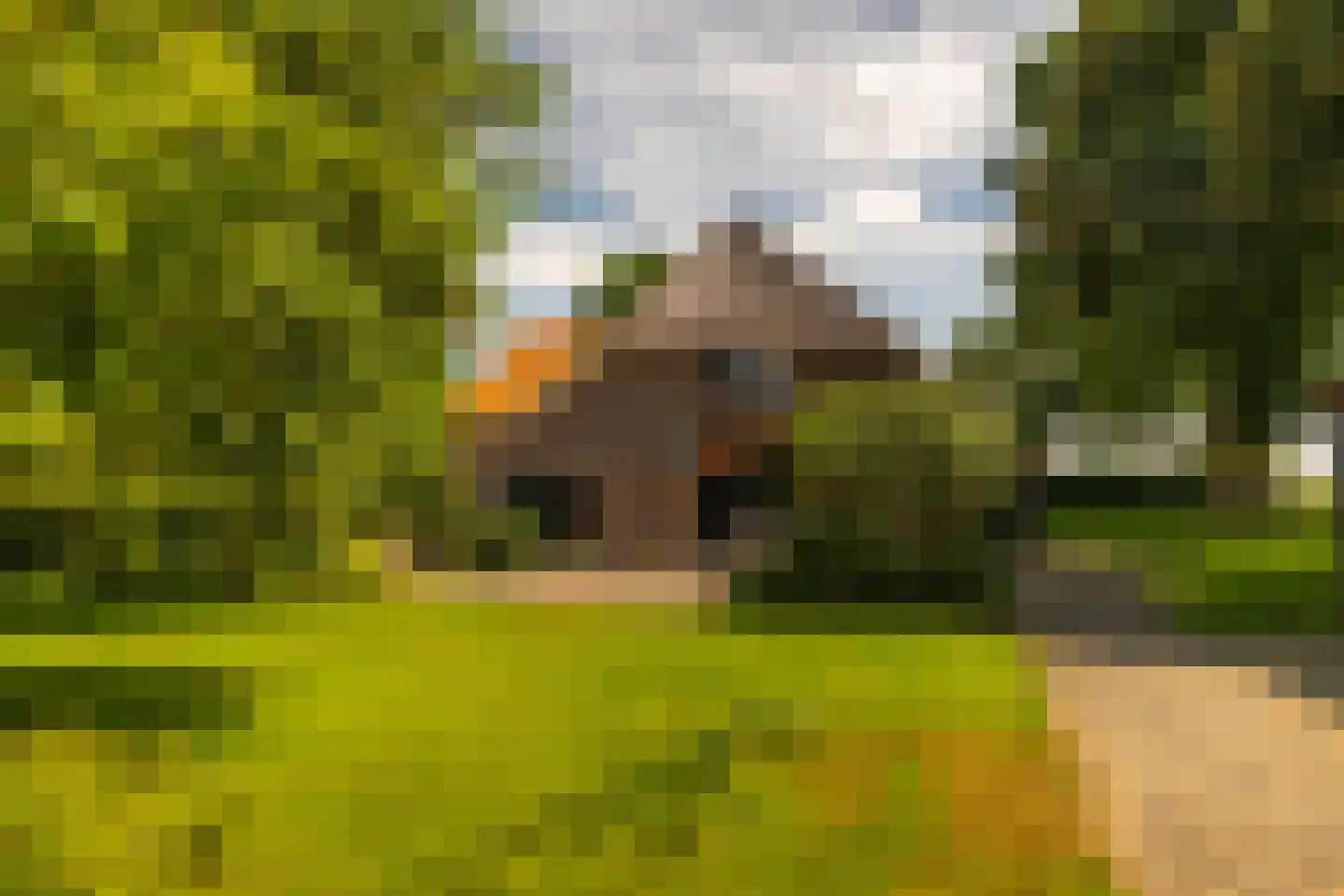 de Leuke 6 Vorden thumbnail 51