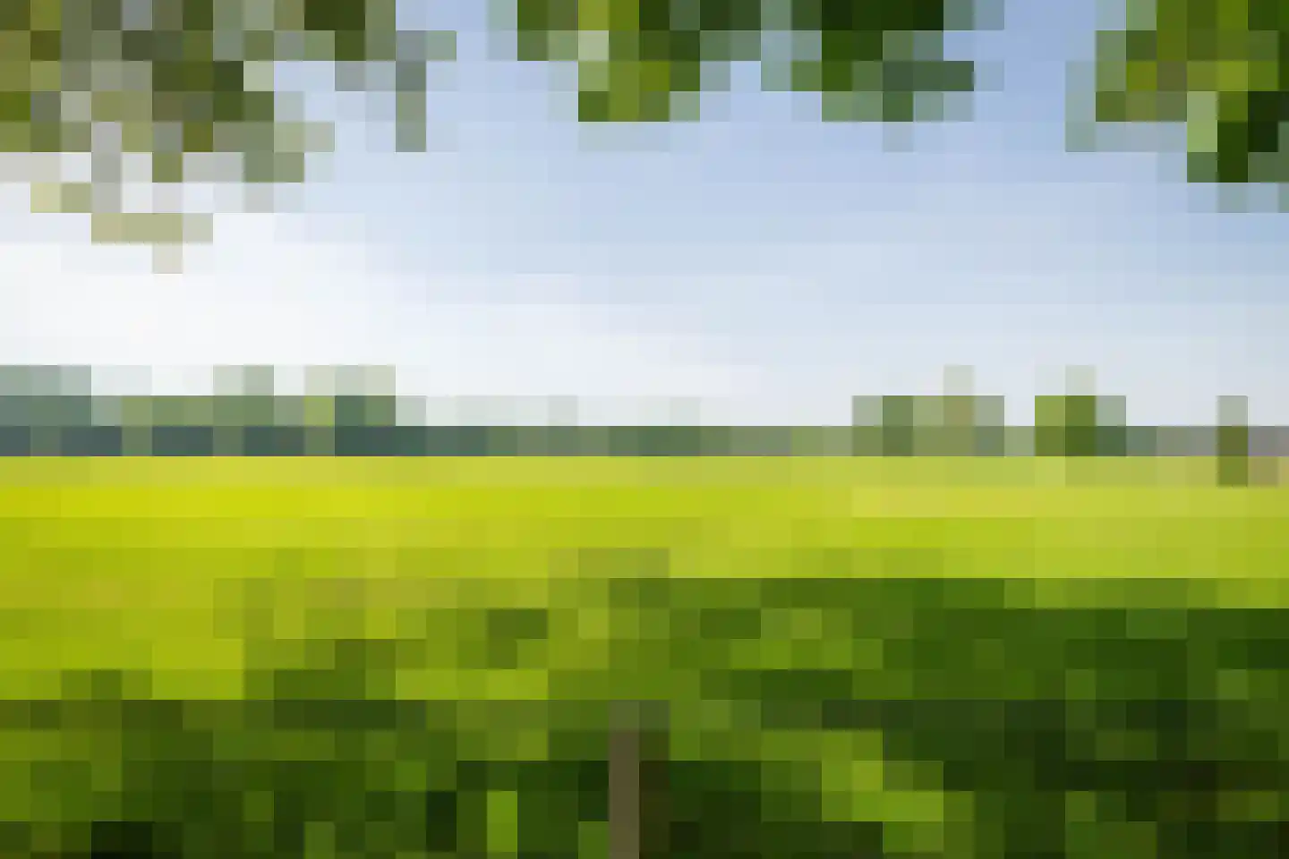 de Leuke 6 Vorden thumbnail 51
