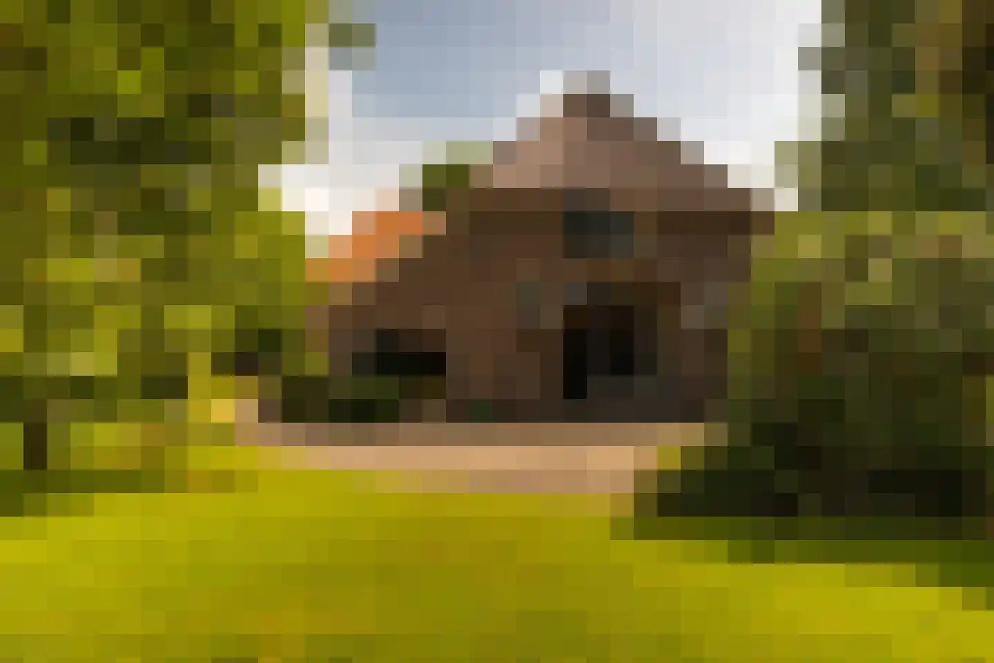 de Leuke 6 Vorden thumbnail 52