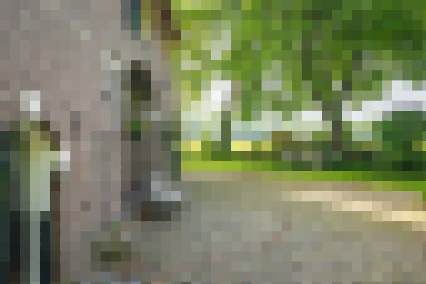 de Leuke 6 Vorden thumbnail 53