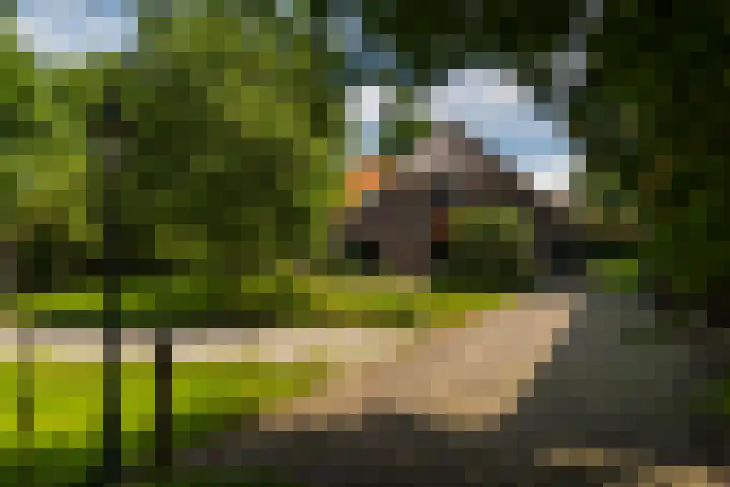 de Leuke 6 Vorden thumbnail 53