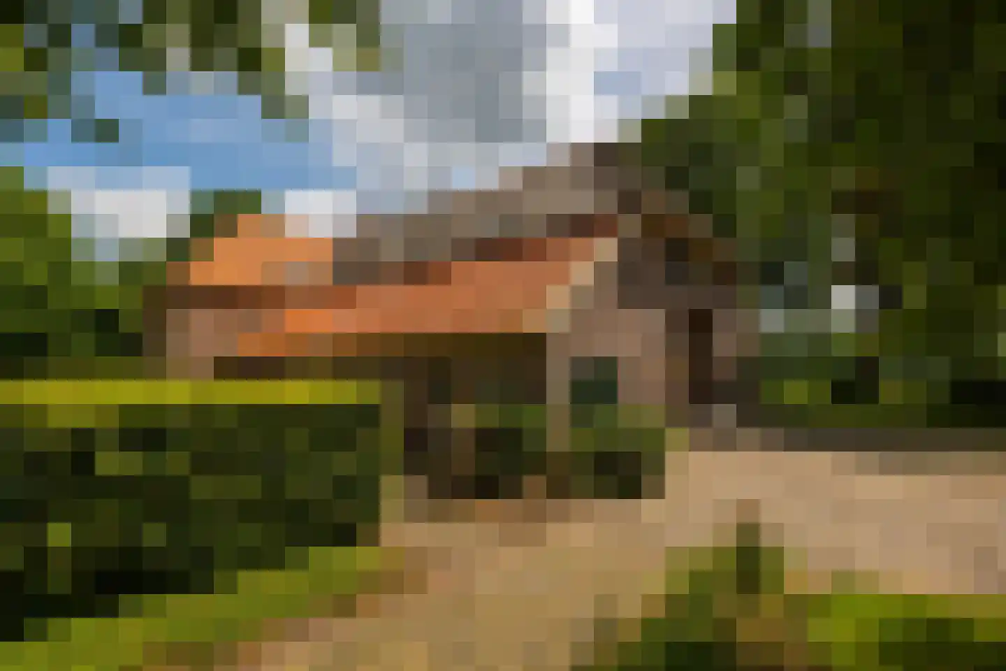 de Leuke 6 Vorden thumbnail 54