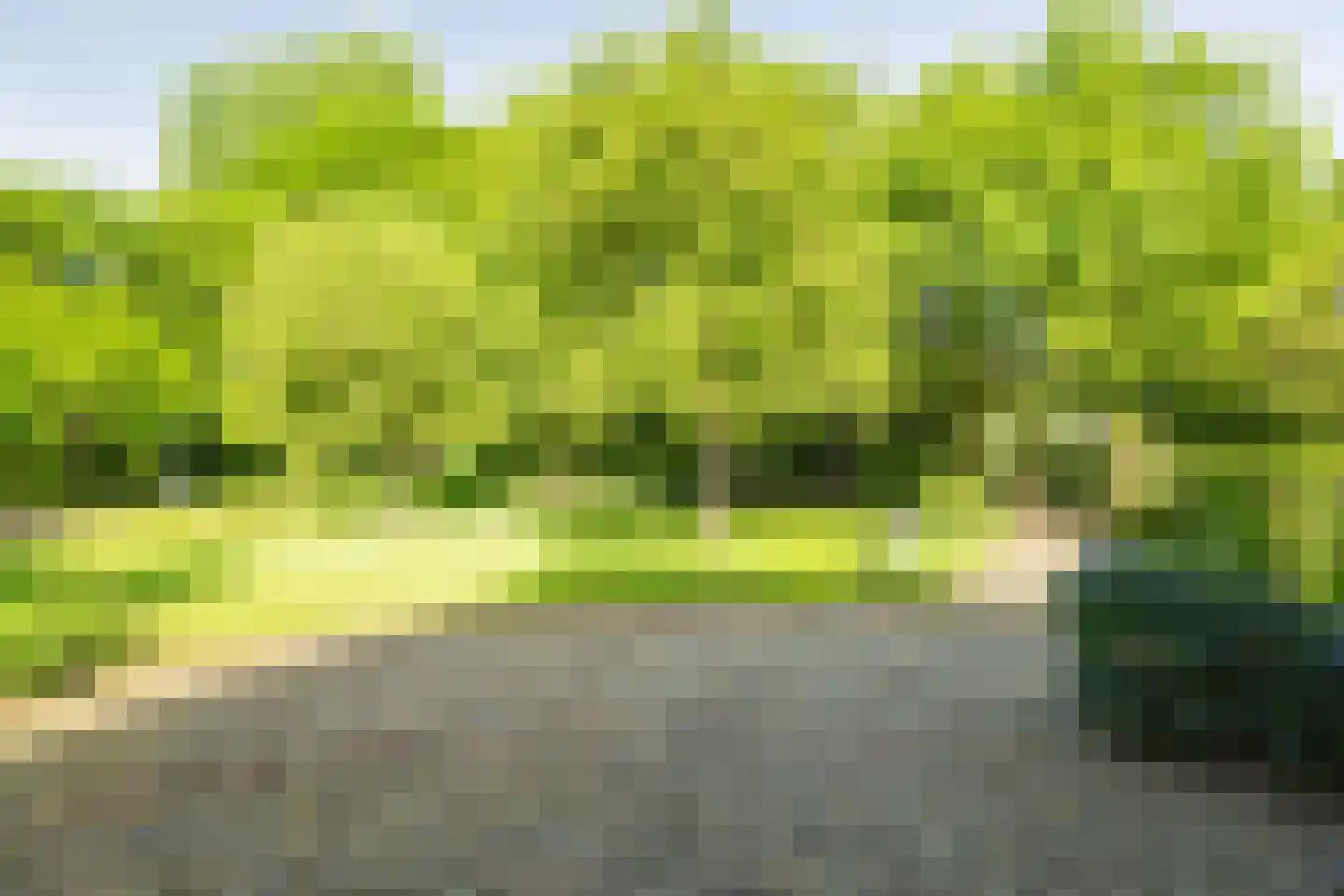 de Leuke 6 Vorden thumbnail 54