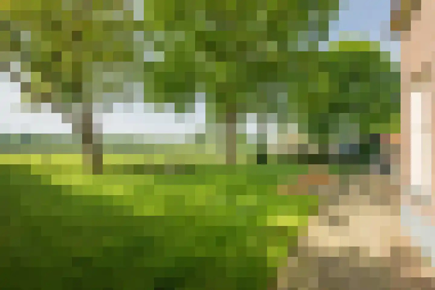 de Leuke 6 Vorden thumbnail 56
