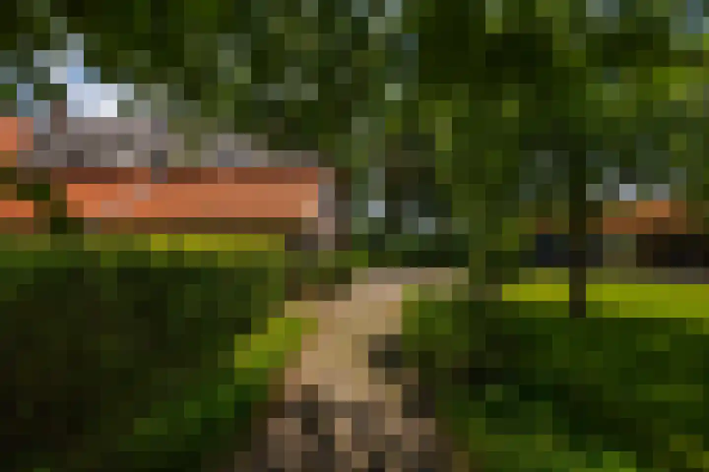 de Leuke 6 Vorden thumbnail 57