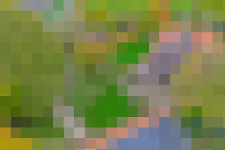 de Leuke 6 Vorden thumbnail 57