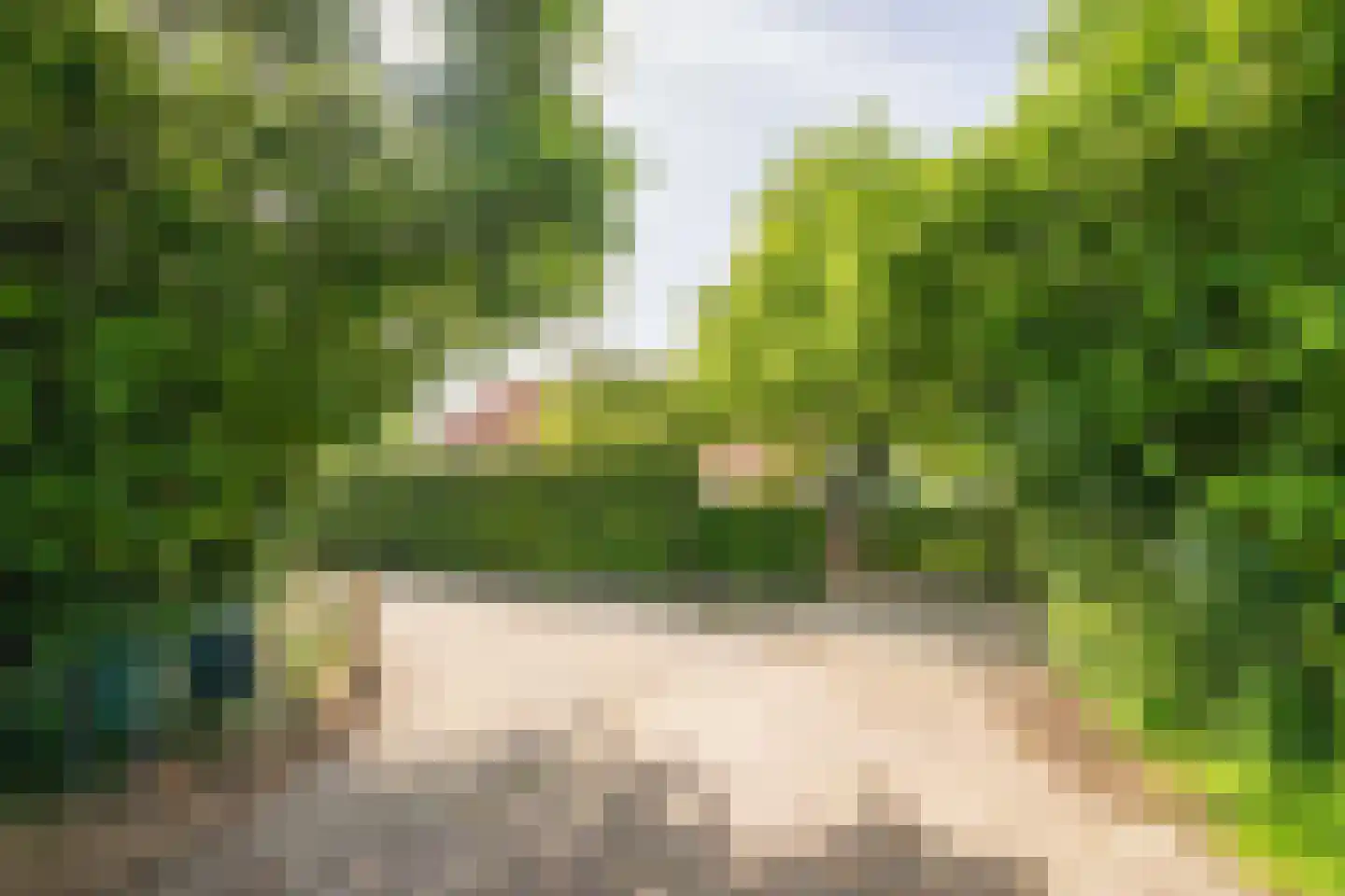 de Leuke 6 Vorden thumbnail 58