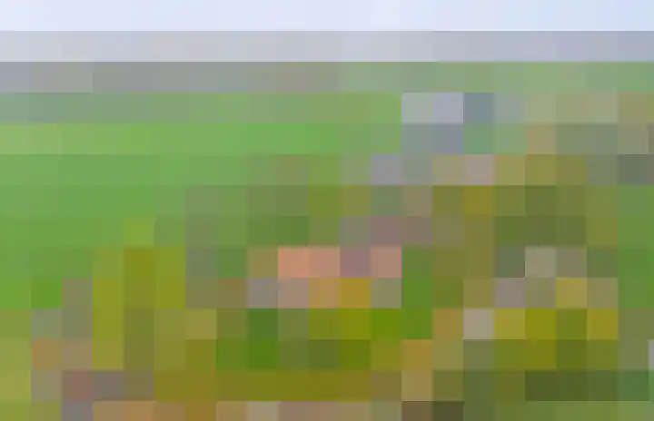 de Leuke 6 Vorden thumbnail 58