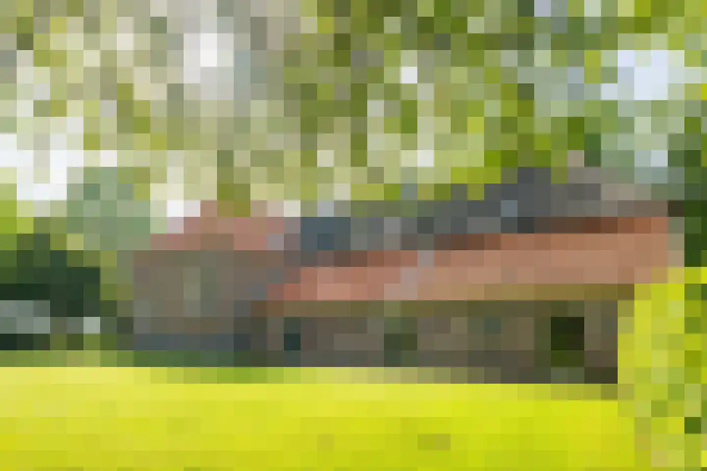 de Leuke 6 Vorden thumbnail 6