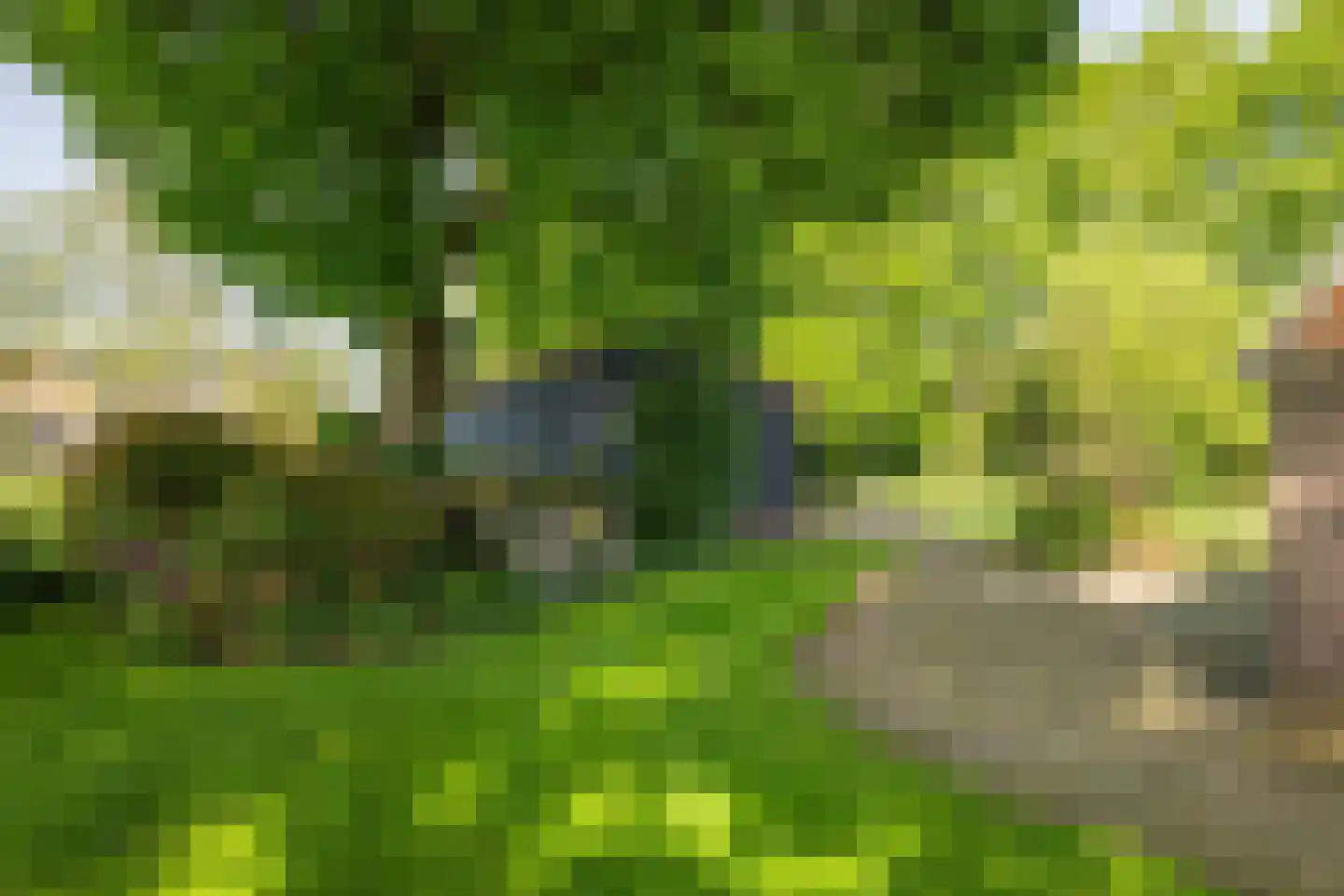 de Leuke 6 Vorden thumbnail 60