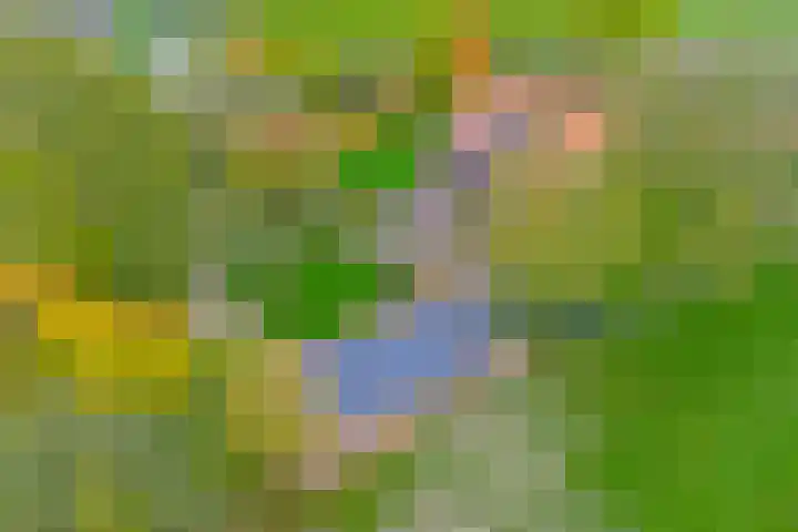 de Leuke 6 Vorden thumbnail 60