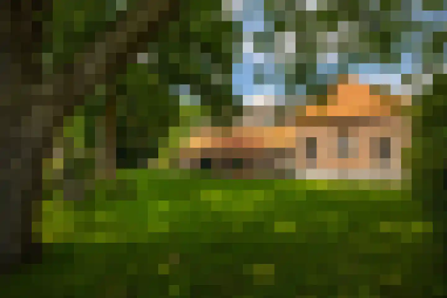 de Leuke 6 Vorden thumbnail 60
