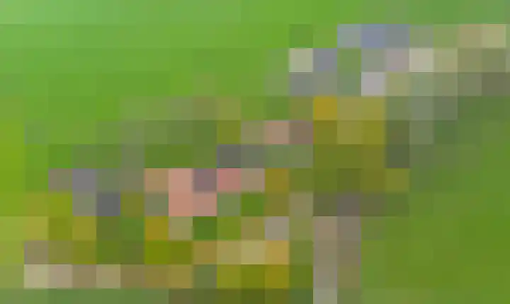 de Leuke 6 Vorden thumbnail 61