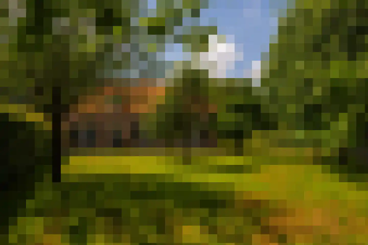 de Leuke 6 Vorden thumbnail 61