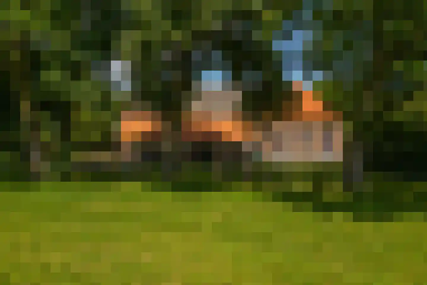 de Leuke 6 Vorden thumbnail 62